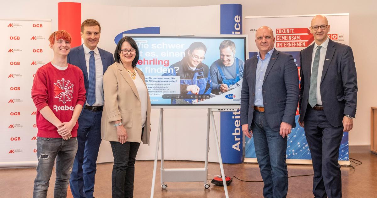 TikTok-Kampagne für mehr Lehre in Niederösterreich