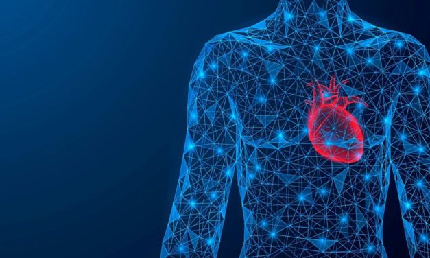 Wie jede Zelle ihren Platz im Körper findet