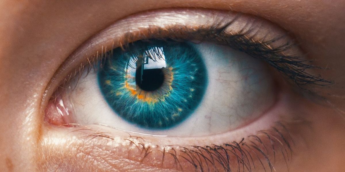 Smartphone-App soll per Augenscan Alzheimer erkennen