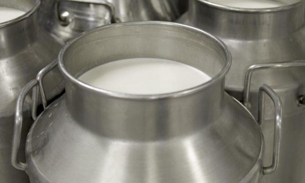 Milch: „Preiserhöhung um 25 bis 30 Prozent“