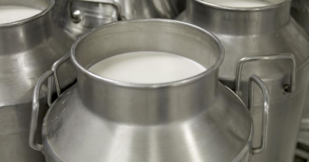 Milch: „Preiserhöhung um 25 bis 30 Prozent“