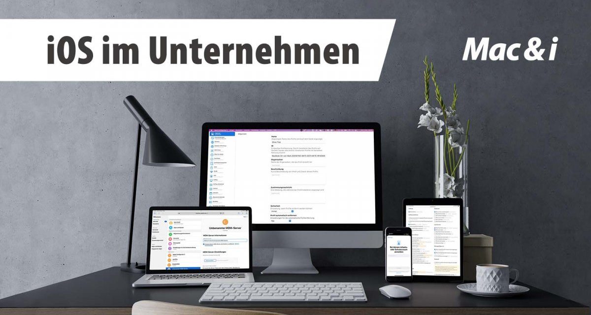 heise-Angebot: Live-Webinar: iPhone und iPad im Unternehmen verwalten