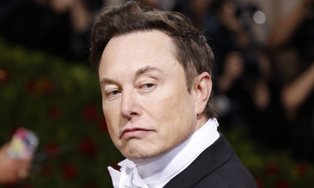 Elon Musk verteidigt Bitcoin vor US-Behörden als „liquides Cash“