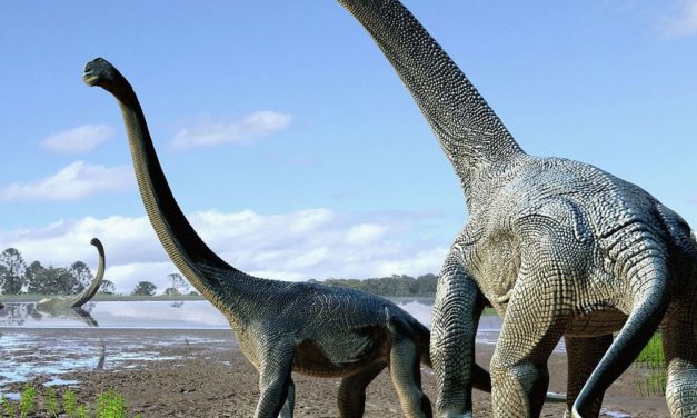 Aussterben der Dinosaurier veränderte die Pflanzenwelt unseres Planeten