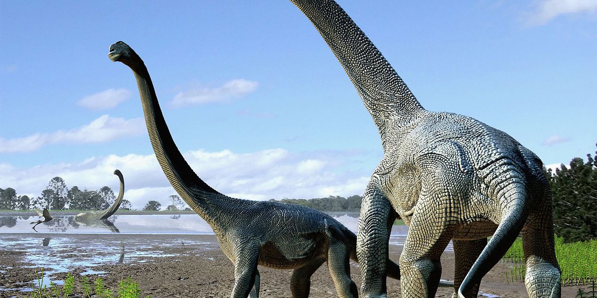 Aussterben der Dinosaurier veränderte die Pflanzenwelt unseres Planeten