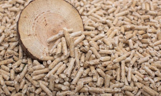 Fast 50 Prozent teurer: Auch Pellets-Preis ist enorm gestiegen