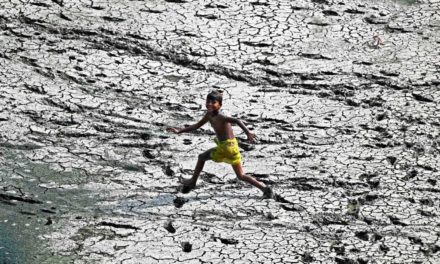 Klimaforscher: Hitzeextreme werden immer häufiger