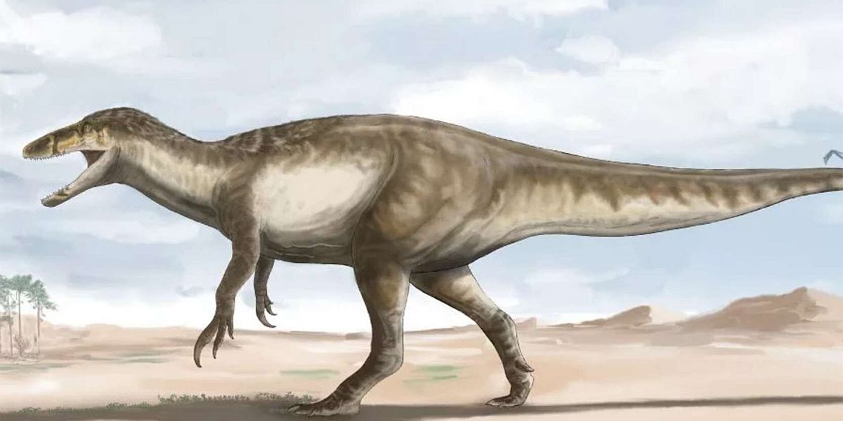 Megaraptor mit 35 Zentimeter langen Klauen entdeckt