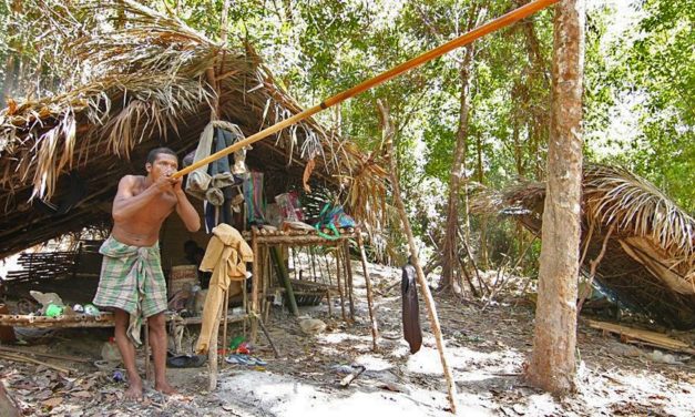 Genetische Geschichte einer der letzten Jäger- und Sammler-Gruppen der Erde entschlüsselt