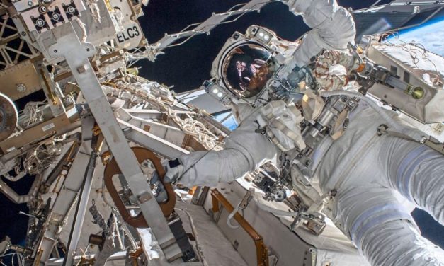 Deutscher Astronaut Matthias Maurer wieder auf der Erde