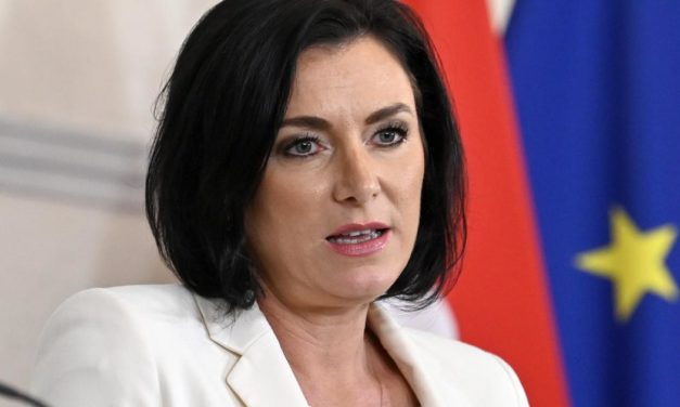 Köstinger-Rücktritt: Ein „erwartbarer“ Schritt