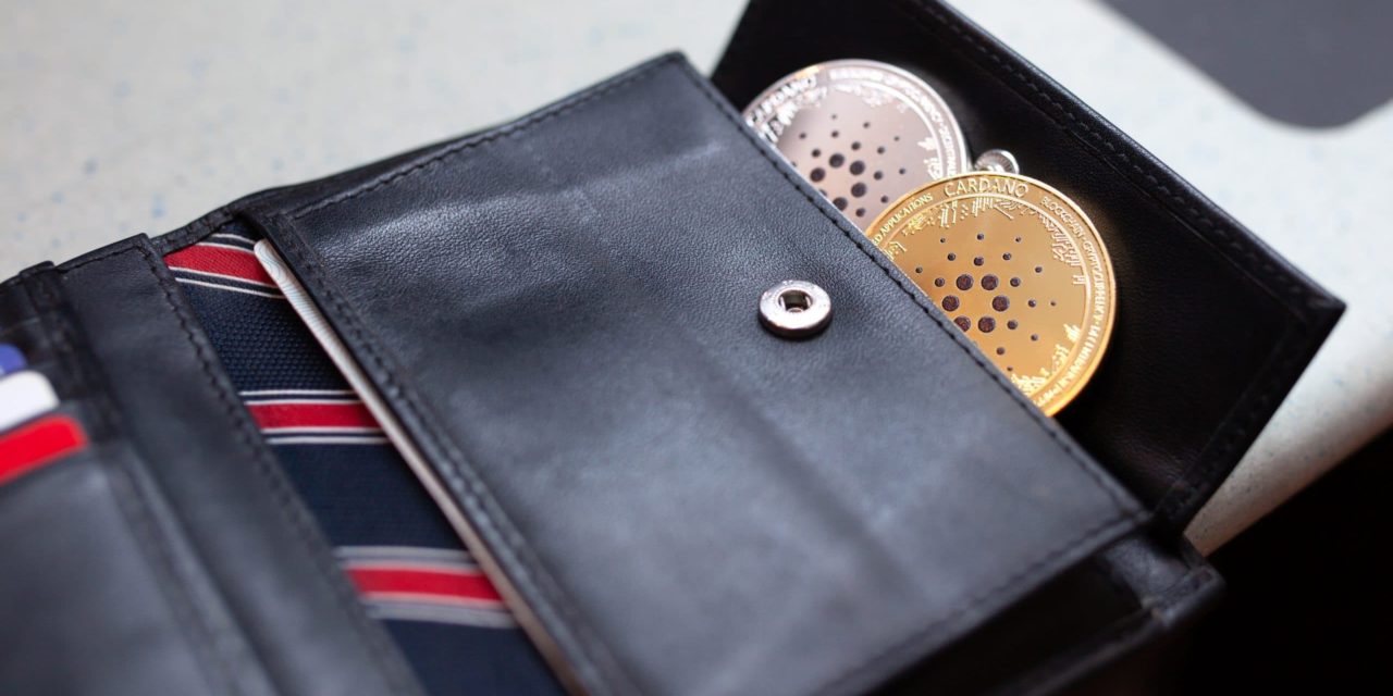 Trotz 11 Prozent Minus: Cardano-Adoption auf Rekordhoch