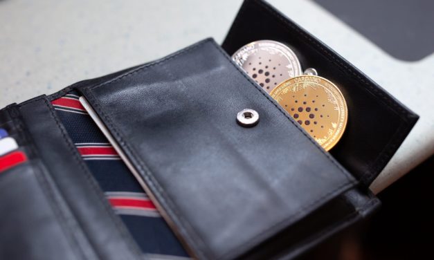 Trotz 11 Prozent Minus: Cardano-Adoption auf Rekordhoch