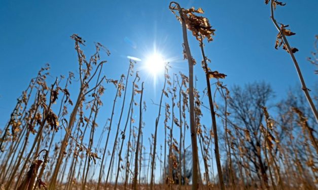 Laut WMO könnte 1,5-Grad-Schwelle bis 2026 erstmals überschritten werden