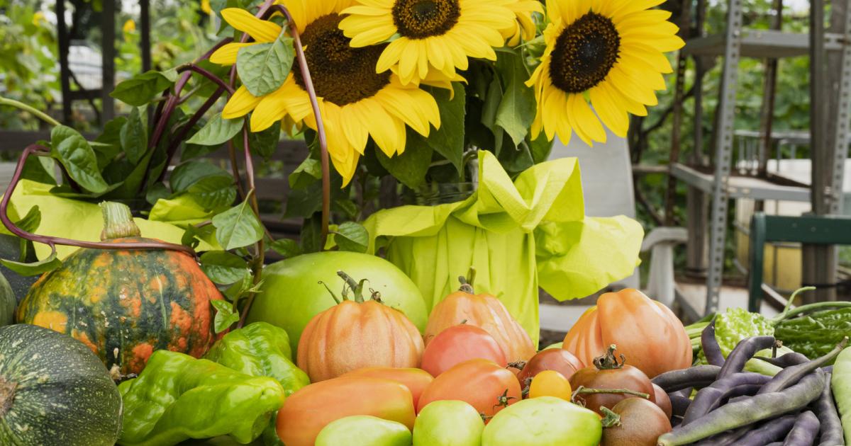 Landwirtschaft: Beim Essen hört  sich der Spaß  aber flott auf