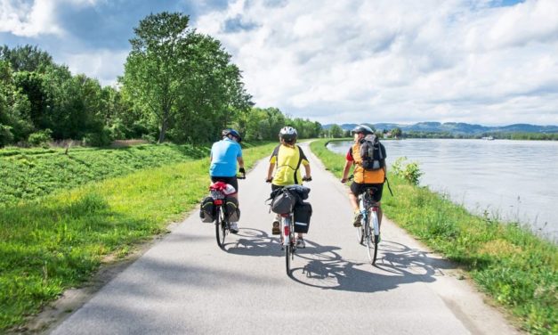 Treppelwege entlang der Donau mit Satelliten erhalten