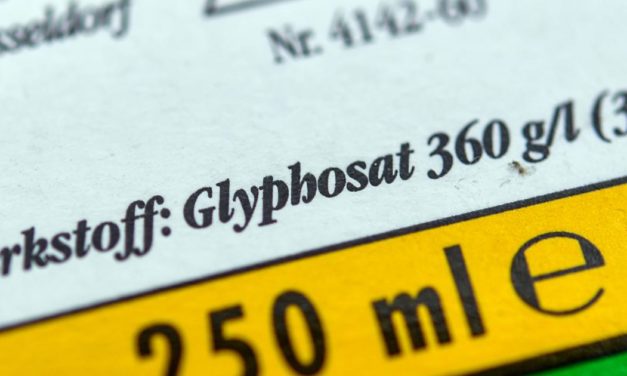 Rückschlag für Bayer in Glyphosat-Verfahren
