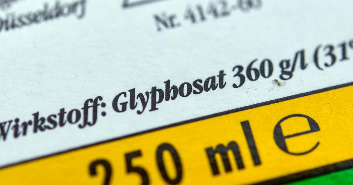 Rückschlag für Bayer in Glyphosat-Verfahren
