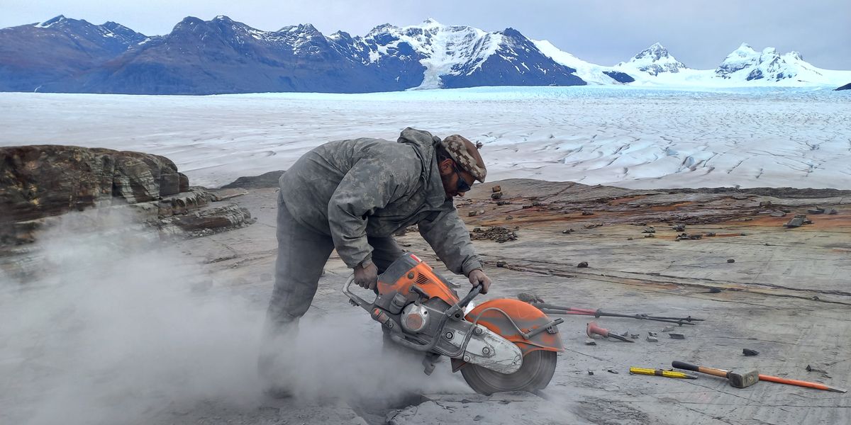 Schwangerer Meeressaurier in Chile freigelegt