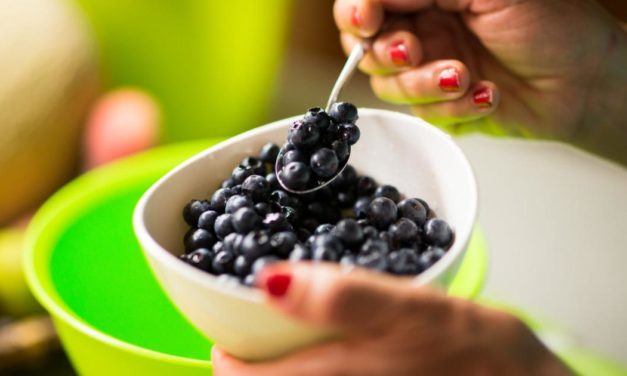 Tägliche Portion Heidelbeeren verbessert das Gedächtnis