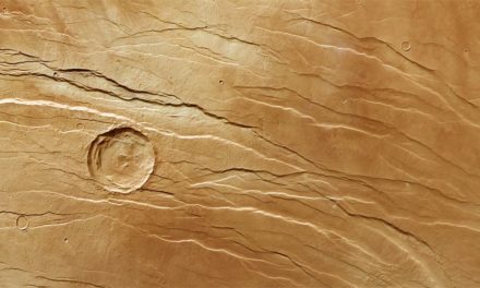 Stärkstes je registriertes Beben jenseits der Erde auf dem Mars beobachtet