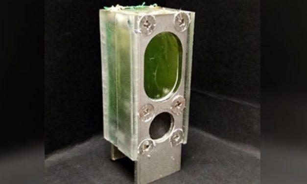 Forscher ließen Computer ein Jahr lang mit „Algenenergie“ laufen