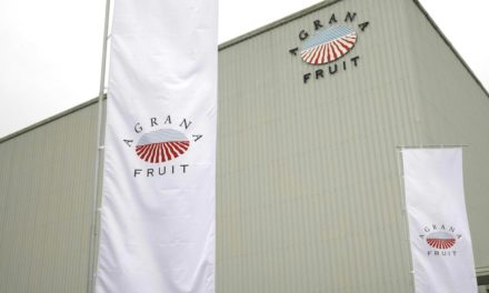 Millionenverlust bei Zuckerkonzern Agrana wegen Ukrainekrieg-Abschreibung