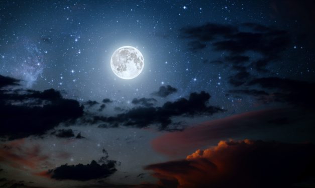 Terra Luna: Die Blockchain stellt den Betrieb ein