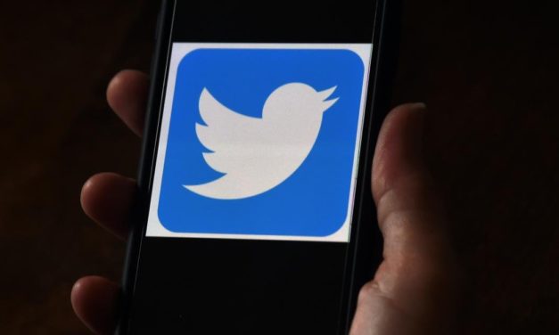 Elon Musk setzt Twitter-Übernahme vorläufig aus
