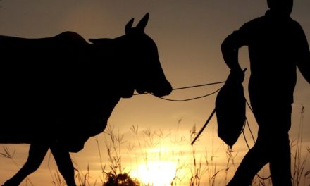 Die Herkunft der ersten Bauern der Geschichte
