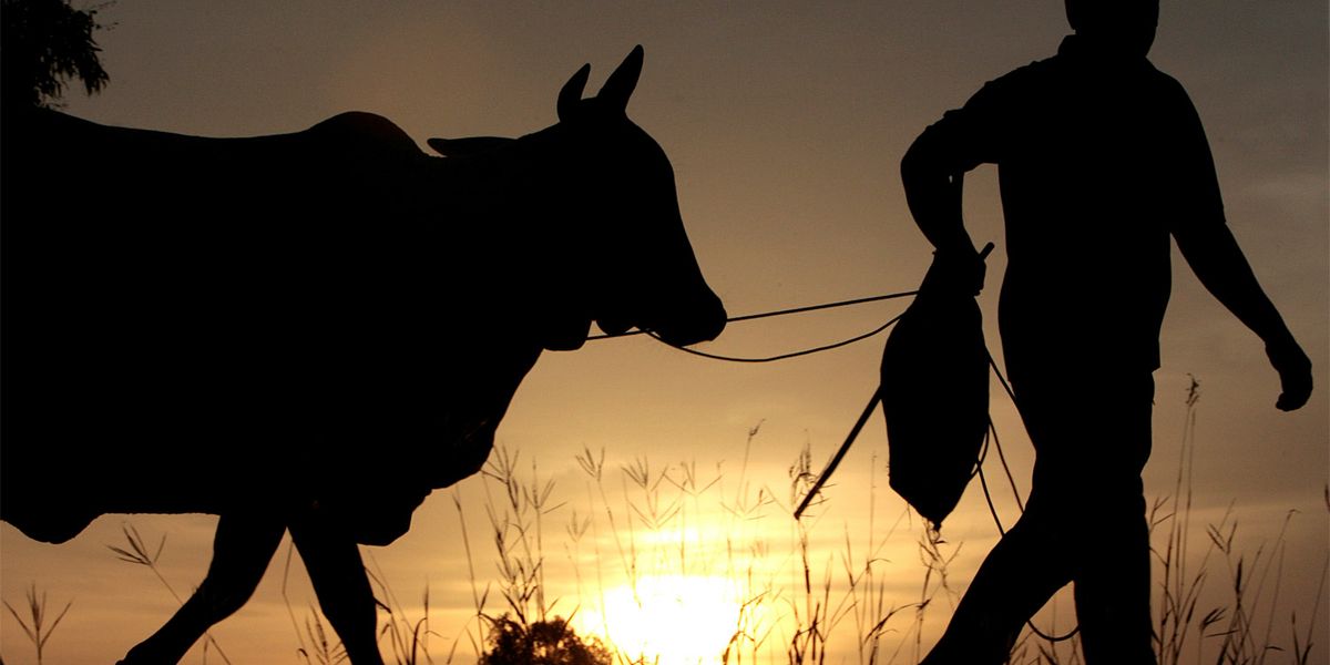 Die Herkunft der ersten Bauern der Geschichte