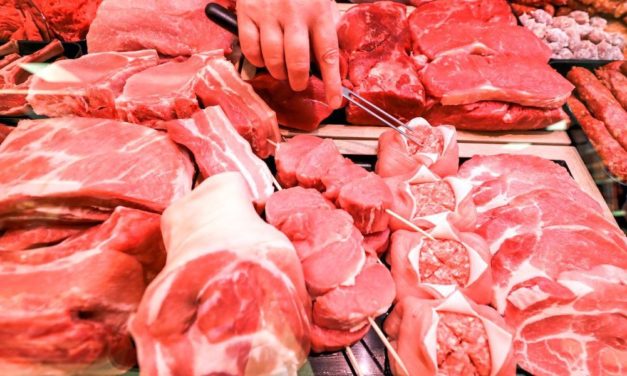 Wissenschaftler sehen Nachbesserungsbedarf bei bisherigen Vorschlägen des Klimarats