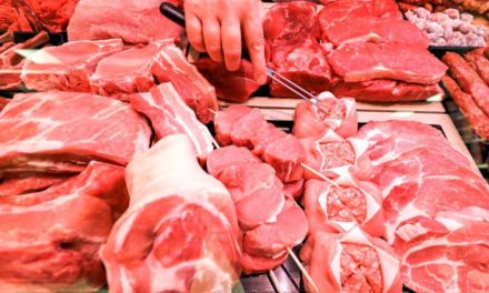 Wissenschafter sehen Nachbesserungsbedarf bei bisherigen Vorschlägen des Klimarats