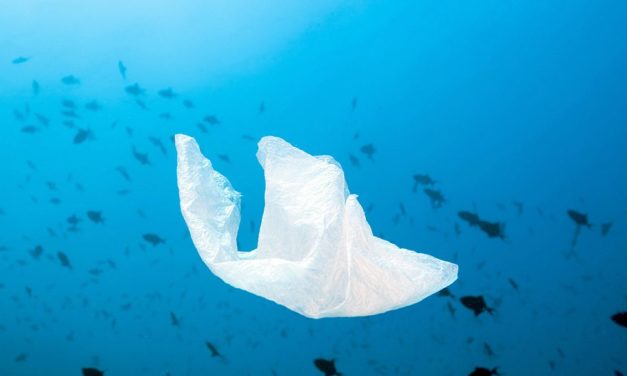 Neu entdecktes Enzym recycelt PET-Kunststoff in Rekordzeit