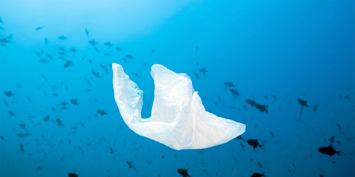 Neu entdecktes Enzym recycelt PET-Kunststoff in Rekordzeit