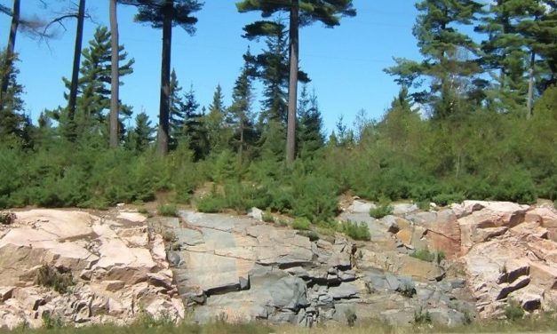 Neues „Archiv“ über die Frühzeit der Erde entdeckt