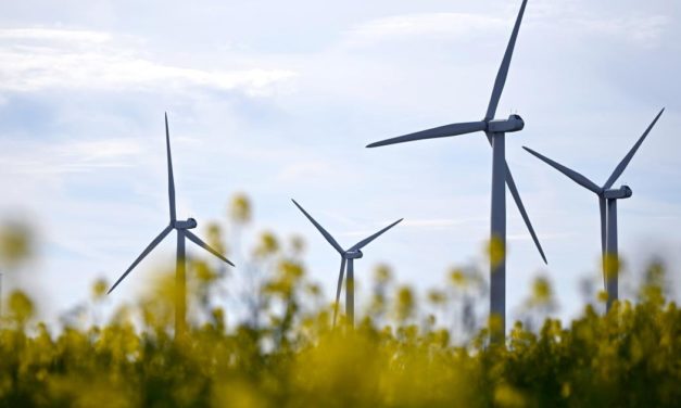 Verbund: Erneuerbaren-Ausbau bringt langfristig Strompreis nach unten