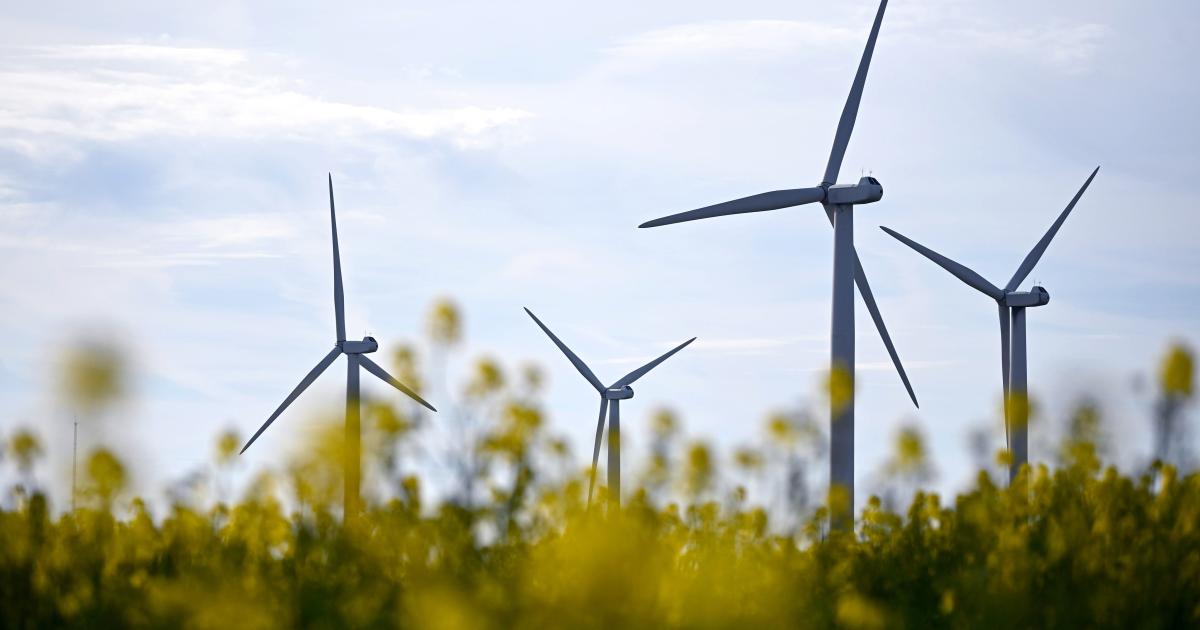 Verbund: Erneuerbaren-Ausbau bringt langfristig Strompreis nach unten