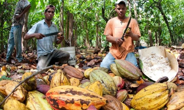 Fairtrade zwischen Inflationsangst und künstlichen Tiefstpreisen