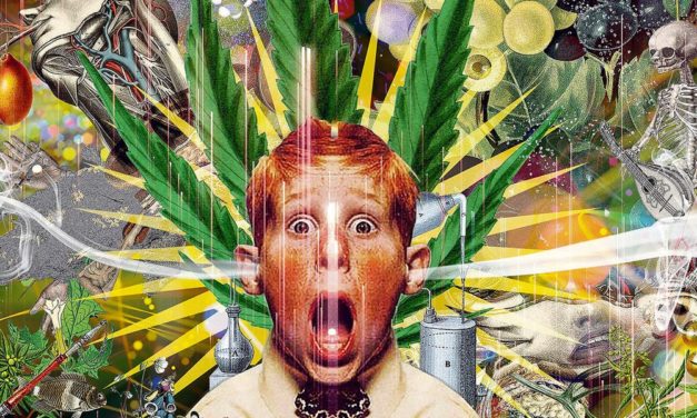 Warum Drogen immer stärker wirken