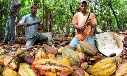Fairtrade: Wie der Boom ausgebremst werden könnte