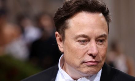 Elon Musk: Belästigungsvorwurf gegen CEO lässt Tesla-Aktie um acht Prozent fallen