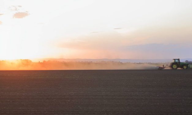 Landwirtschaft wie heute wird im Seewinkel künftig unmöglich sein