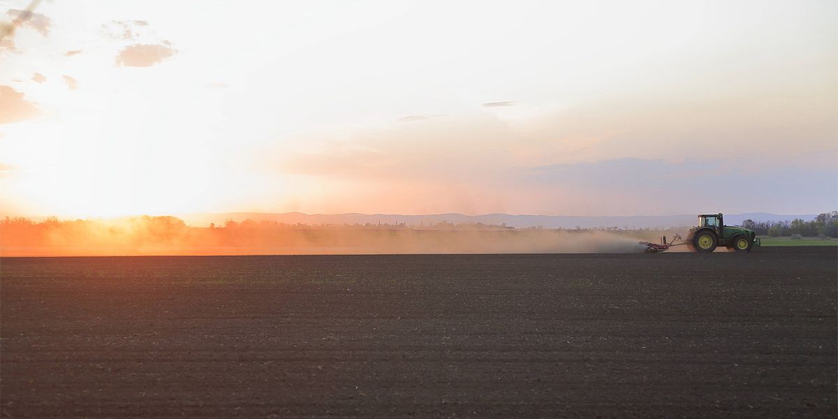 Landwirtschaft wie heute wird im Seewinkel künftig unmöglich sein