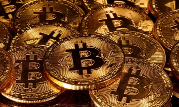 Fast jeder zehnte Haushalt besitzt Krypto-Assets