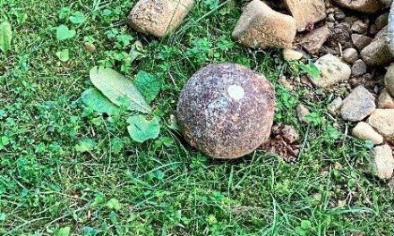 300 Jahre alte Kanonenkugel bei Grabungen in Wien entdeckt