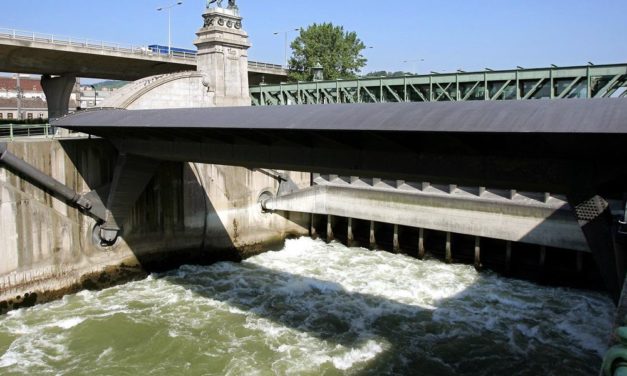 70.000 Fluss-Bauwerke kommen heimischen Fischen in die Quere