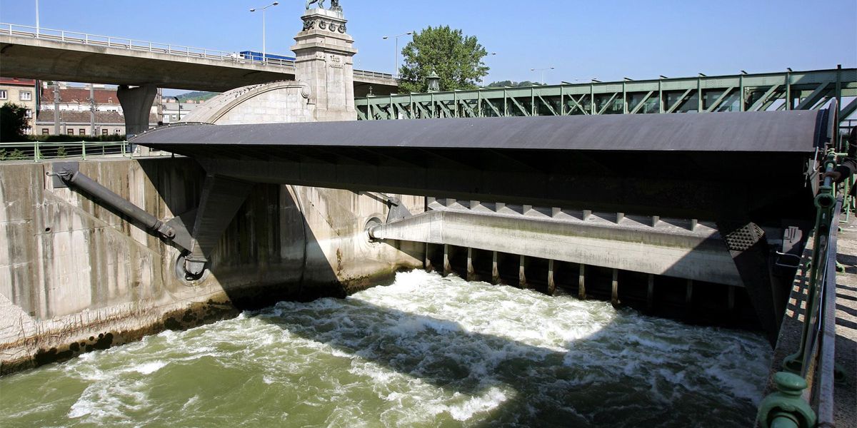70.000 Fluss-Bauwerke kommen heimischen Fischen in die Quere