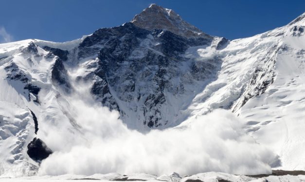Avalanche (AVAX) fällt um 14 Prozent zurück bis an sein Jahrestief