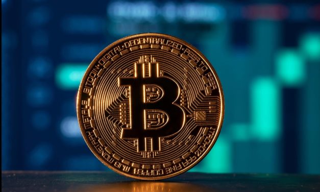 Bitcoin-Dominanz auf Jahreshoch: Grund zur Sorge?